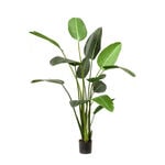 Homez artificial strelitzia plant in pot, green 150*150*238cm image number 0