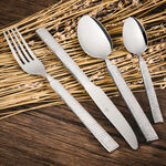 Heide 16 Pcs Cutlery Set Silver Color image number 0