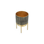 Plantern image number 2