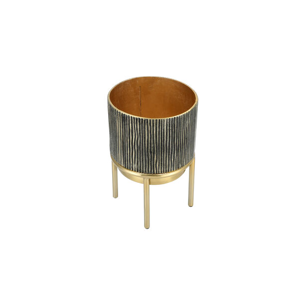 Plantern image number 2