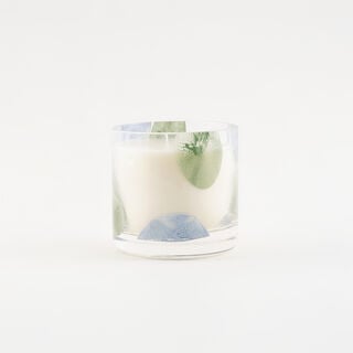 Homez scented candle glass eucalyptus and moss 360 g