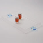 Dallaty Acrylic Tray With Blue Color Handle, 59.5*30*5 Cm image number 3