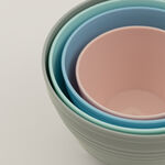 Pentola 4pcs plastic bowl set 0.23L, 0.48L, 0.69L, 0.94L image number 4