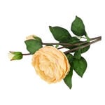 Artificial Flower Rose Champagne image number 1