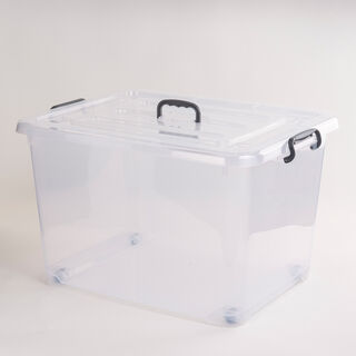 Storage Box with Handle