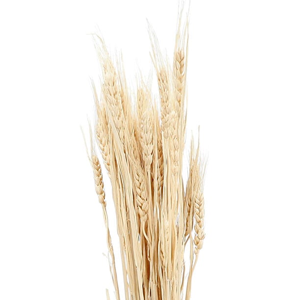 Dried Flowers Wheat image number 1