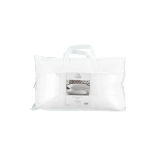 Cottage pillow 2pc