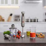Alberto Stainless steel 1000W 4 in 1 hand blender image number 0