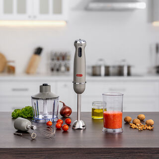 Alberto Stainless steel 1000W 4 in 1 hand blender