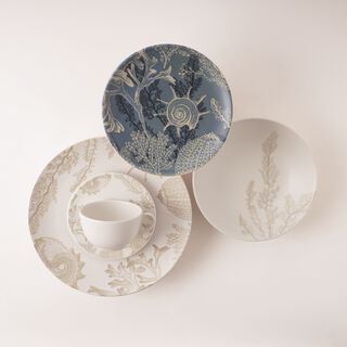 Rio marine 20pcs porcelain dinner set