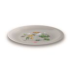 Snips flat plate dino 23.5*1.5cm, multicolor image number 0