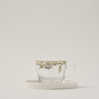 Dallaty transparent glass and porcelain tea cups set 8 pcs
