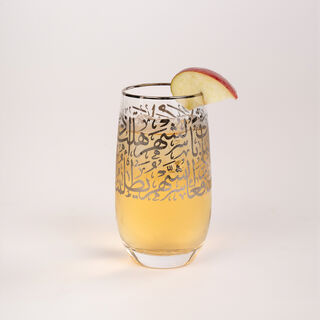 Misk 4 Pieces Glass Tumblers Hiball