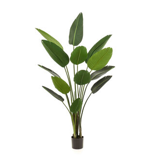 Homez artificial plant strelitzia plant in pot, green 120*120*188cm