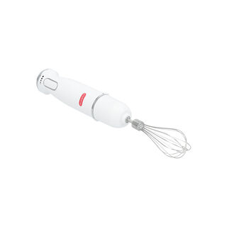 Alberto Stainless steel 1000W 4 in 1 hand blender