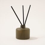 Homez 100 ml glass diffuser with oil and reed, green image number 2