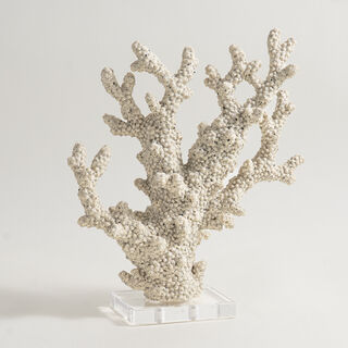 Homez resin coral sculpture 29*10*33cm, offwhite