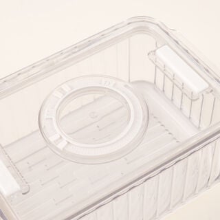 Alberto Food Storage Container 18.5*12.5*9Cm