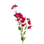 زهرة صناعية image number 1