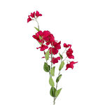 Artificial Flower Cuckoo Beauty image number 1