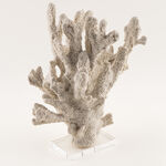 Homez resin baley decorative sculpture 35*20*37.5cm, beige image number 2