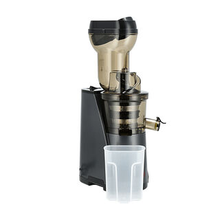 Alberto Cold Press Slow Juicer 240W