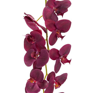 Artificial Flower (Real Touch) Orchid