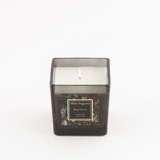 Homez scented glass candle black forest, 220g image number 1