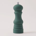 Alberto salt and pepper mill set 6*17.5cm, green image number 2