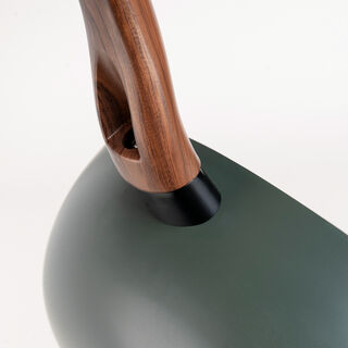 Alberto green deep frypan 30 cm
