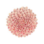 Wall Art Flower Pink image number 0