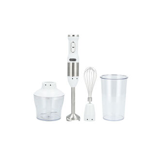 Alberto Stainless steel 850W 3 in 1 hand blender