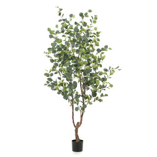 Homez artificial eucalyptus tree in pot, green 75*75*180cm