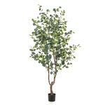 Homez artificial eucalyptus tree in pot, green 75*75*180cm image number 0