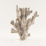 Homez resin baley decorative sculpture 35*20*37.5cm, beige image number 0