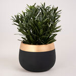 Artificial Plant Succulent In Cement Pot Green image number 1