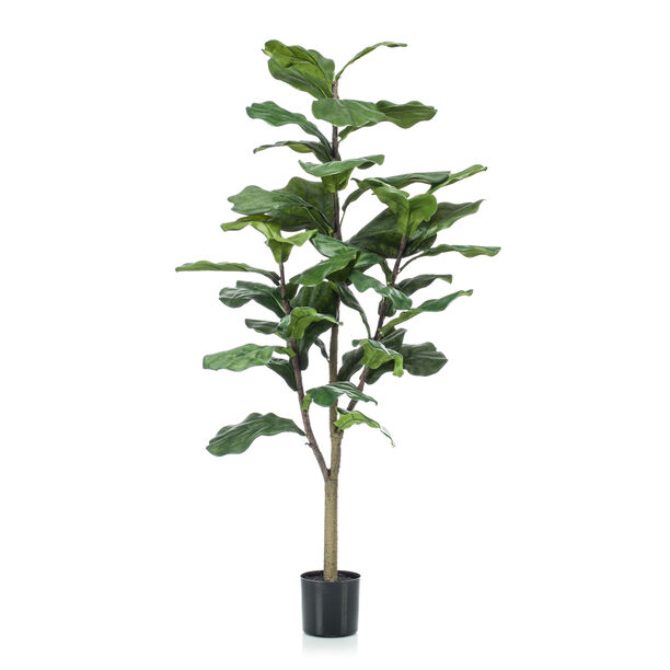 Homez indoor artificial ficus lyrata in pot green, 120cm image number 0