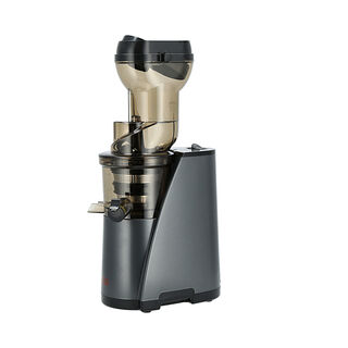 Alberto Cold Press Slow Juicer 240W
