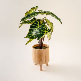 Homez Artificial Plant In Wood Pot 22.86*22.86*33.6Cm
