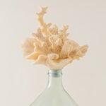 Homez glass coral decorative accent image number 1