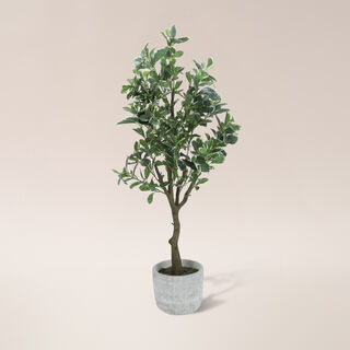 Aritificial plant in a Cement pot