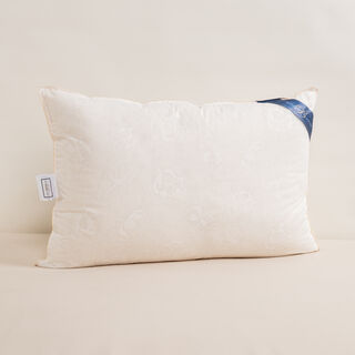 Boutique Blanche Firm Support Cotton Pillow 50*75Cm White 142Tc Cotton 1000Gr