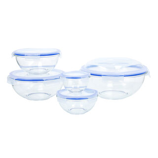 10 Pcs Borosilicate Glass Salad Bowl Set With Lid