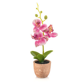 Homez indoor artificial mini phalaenopsis in pot, pink, 20cm