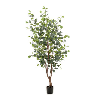 Homez artificial plant eucalyptus tree in pot, green 60*60*150cm