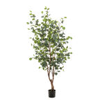 Homez artificial plant eucalyptus tree in pot, green 60*60*150cm image number 0