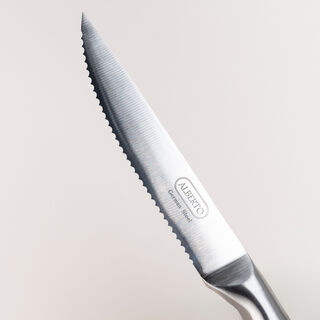 Alberto Stainless steel 1.4116 German Steel 5" 6 Pcs Steak Knife Set
