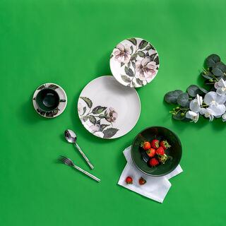  20 Pcs Porcelain Dinner Set Serve 4 Persons