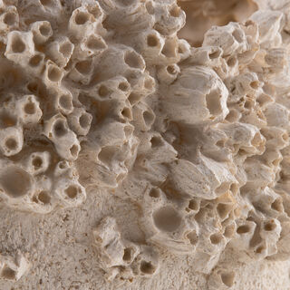 Homez resin baley decorative sculpture 34*25*31.2cm, beige