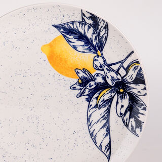  20 Pcs Porcelain Dinner Set Serve 4 Persons